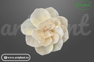 Cap camelie sola 8 cm cu petale simetrice în spirală, floare decorativă elegantă din lemn de sola