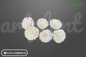 Cap floarea soarelui dublă sola 8 cm cu petale pe două rânduri, floare decorativă voluminoasă din lemn de sola