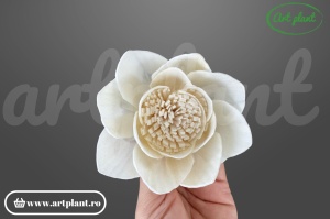Cap lotus sola 8 cm cu petale conice în rânduri concentrice, floare decorativă zen din lemn de sola