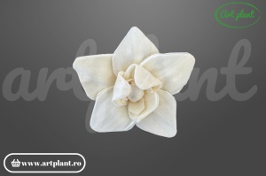 Cap magnolie stelată sola 8 cm cu petale alungite în formă de stea, floare decorativă din lemn de sola