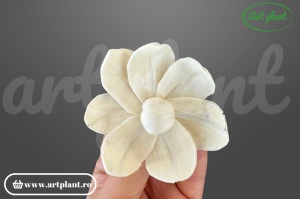 Capete pluto sola - 6cm