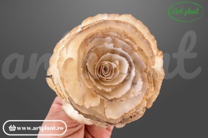 Cap trandafir sola rustic vintage 10 cm alb crem, floare decorativă pentru aranjamente bohemian