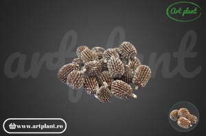 Casuarina XXL snow