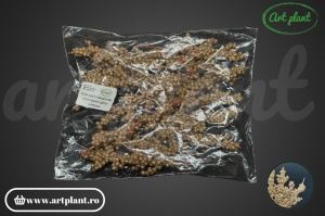 Coacăze ornamentale champgane glitter - Img 2