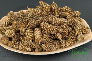 Conuri eger indiai gold