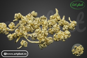 Conuri mini chiparos champagne