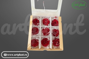 Dalie Mini Roșu Închis stabilizată cap de floare 3-4 cm fără codița – Art Plant