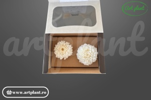 Dalie criogenată alb-crem 6-10cm - Art Plant