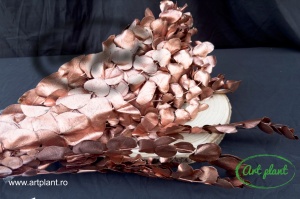 Eucalipt Espiral Metal Bronze