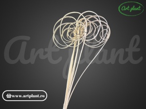 Fire cane îndoite – înălbite - Img 3
