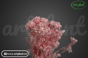 Floare de Orez Criogenata Roz Deschis - Img 2