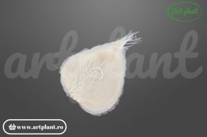 Frunze voal crem (G)