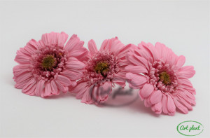 Gerbera Stabilizată Roz