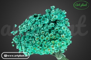 Glixia turquoise (G)