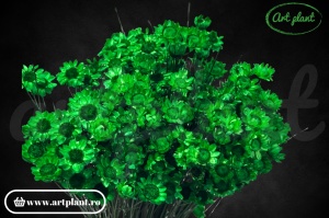 Glixia verde smarald (G)