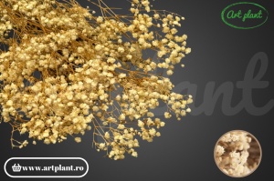 Gypsophila Criogenată Natural - Img 1