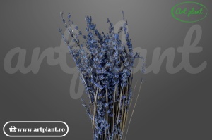Lavandă criogenată pentru aranjamente florale