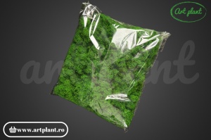 Licheni stabilizati Nature Green - Img 4