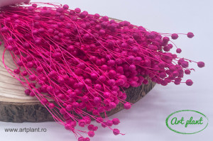 Lino (In) Fuchsia - Img 2