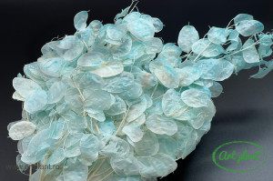 Lunaria Small Turquoise