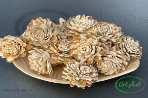 Ming aster natur / maro 4-5 cm