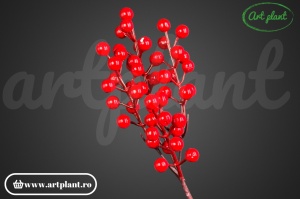Mini Berries festive
