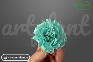 Mini Rose Romantic stabilizate Touss din Ecuador, Ø 4–5 cm • Înălțime 2–2.3 cm, 12 buc