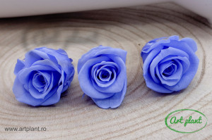 Mini Rose Violet - Img 1
