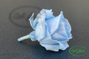 Mini Roze Bleo Blu89 - Img 2