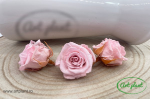 Mini Roze Roz Pal Pin04 - Img 1