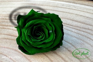 Mini Roze Verde Inchis Gre02