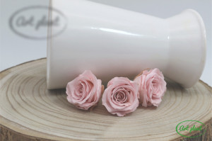 Mini Roze Warmi Roz Pal Pin04 - Img 2