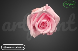 Miniroze Criogenate Bridal Pink S - Img 3