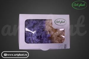 Mix Hortensie Stabilizată – Set cu 2 Culori Naturale - Img 3