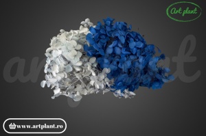 Mix Hortensie Stabilizată – Set cu 2 Culori Naturale - Img 1