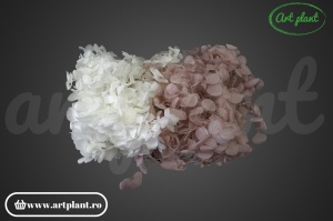 Mix Hortensie Stabilizată – Set cu 2 Culori Naturale - Img 1