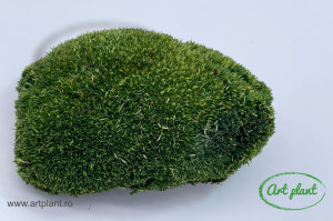 Muschi Mini Ball Moss Nature Green - Img 3