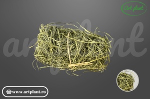 Rafie naturală verde (G)