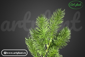 Ramură decorativă Pin, 46 cm – Verde
