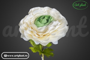 Ranunculus artificial gigant 138 cm – crem - Img 2