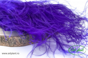 Stipa Violet ( Purple)
