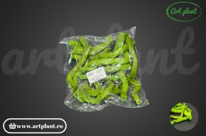 Topy verde - Img 2