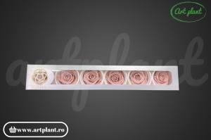 Trandafir criogenat Antique Pink XL - Img 6