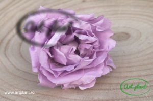 Trandafir criogenat Light Purple - Img 3