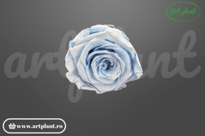 Trandafiri Criogenati 6cm Baby Blue