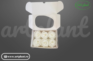 Cutie cu 6 trandafiri criogenați ivory 6cm, nuanță alb perlat, origine Ecuador – Art Plant