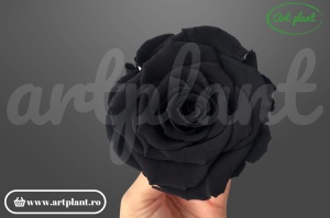 Trandafiri Criogenati L Black Bla01