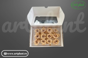 Trandafiri Criogenati Mini Nude