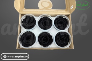 trandafiri XL stabilizați Black – buchet de lux pentru decor interior