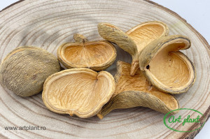 Badam natur crem